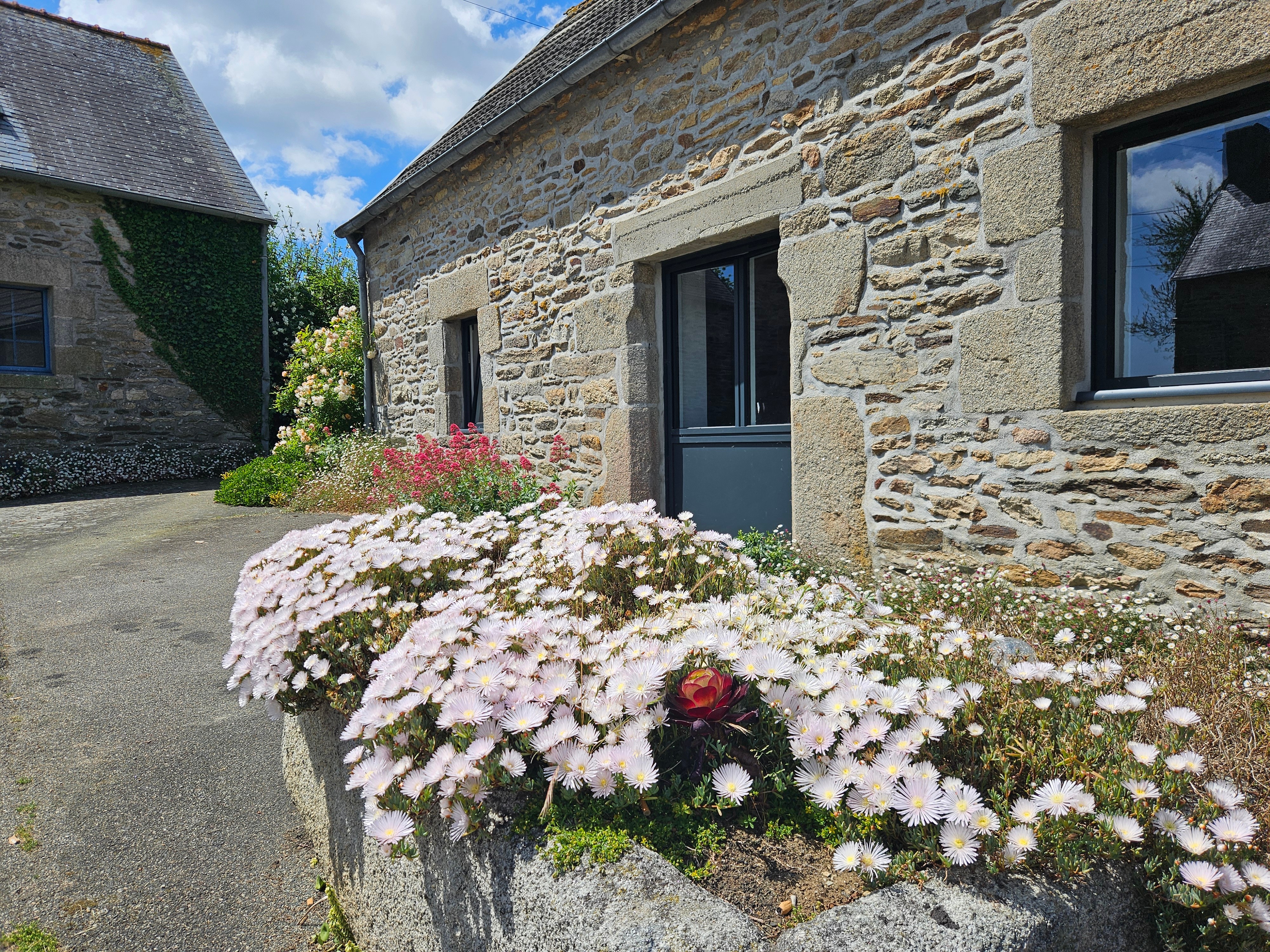 Photo n° 1 de la location
