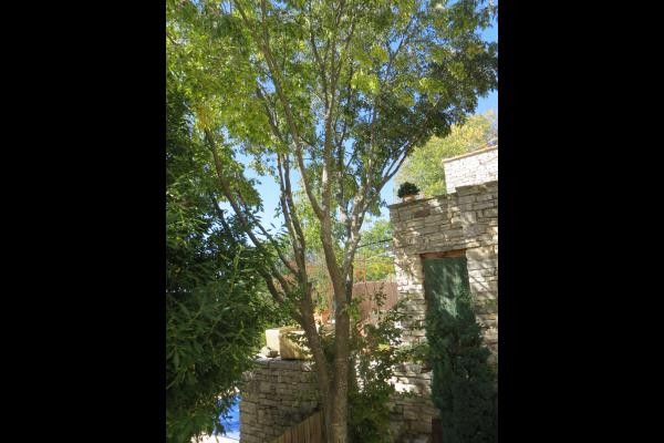 Photo n° 7 of the location