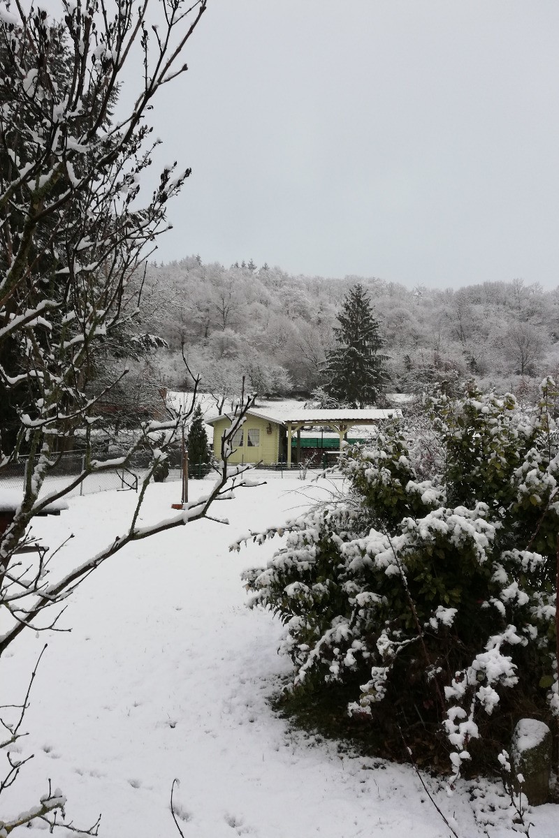 Jardin et terrasse