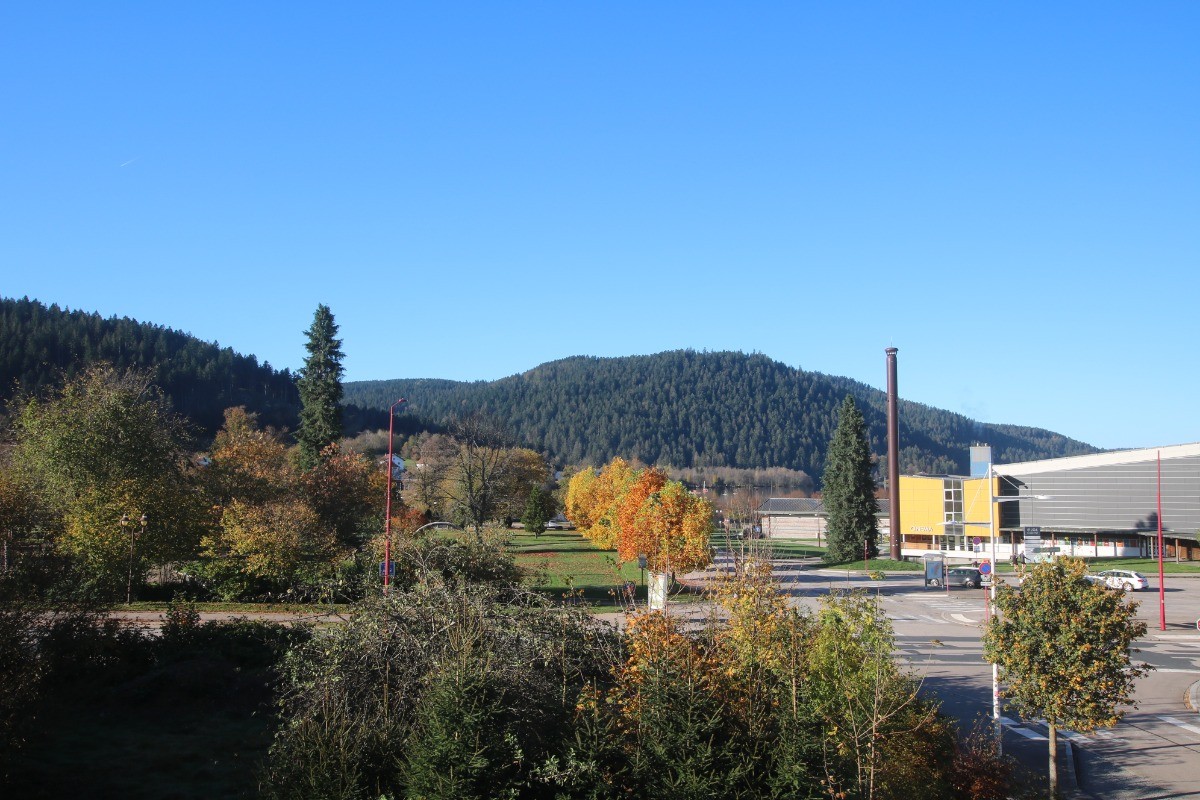 La Loge aux Loups, maison contemporaine avec piscine intérieure, sauna, local vélo, à 100 m du lac