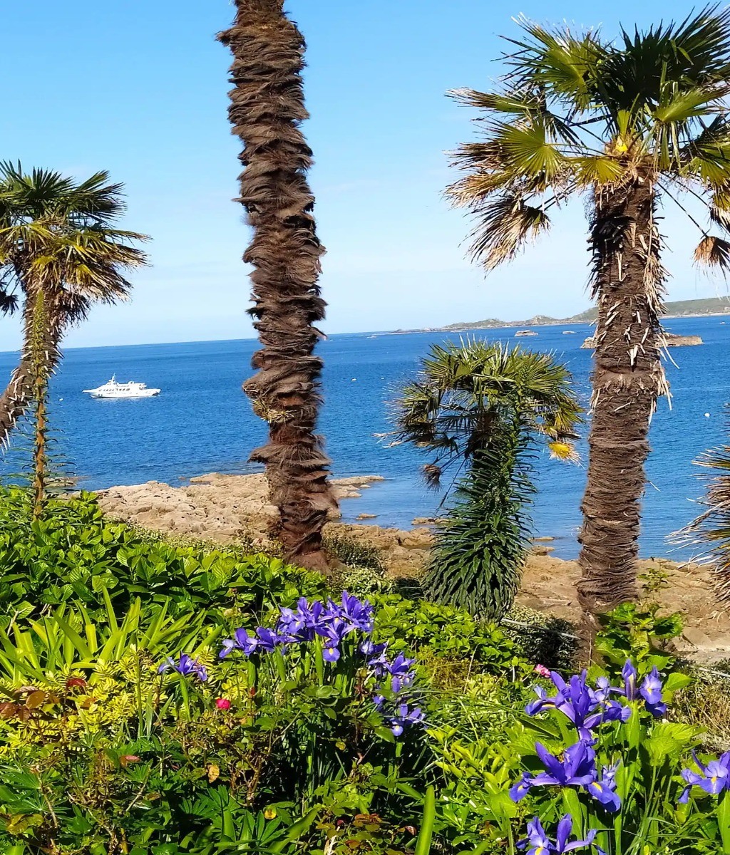 Location, Perros Guirec, Mme Assicot - 
Vue du jardin de la résidence où vous pourrez vous détendre sur un banc face à la mer.