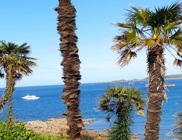 Location, Perros Guirec, Mme Assicot - 
Vue du jardin de la résidence où vous pourrez vous détendre sur un banc face à la mer.
