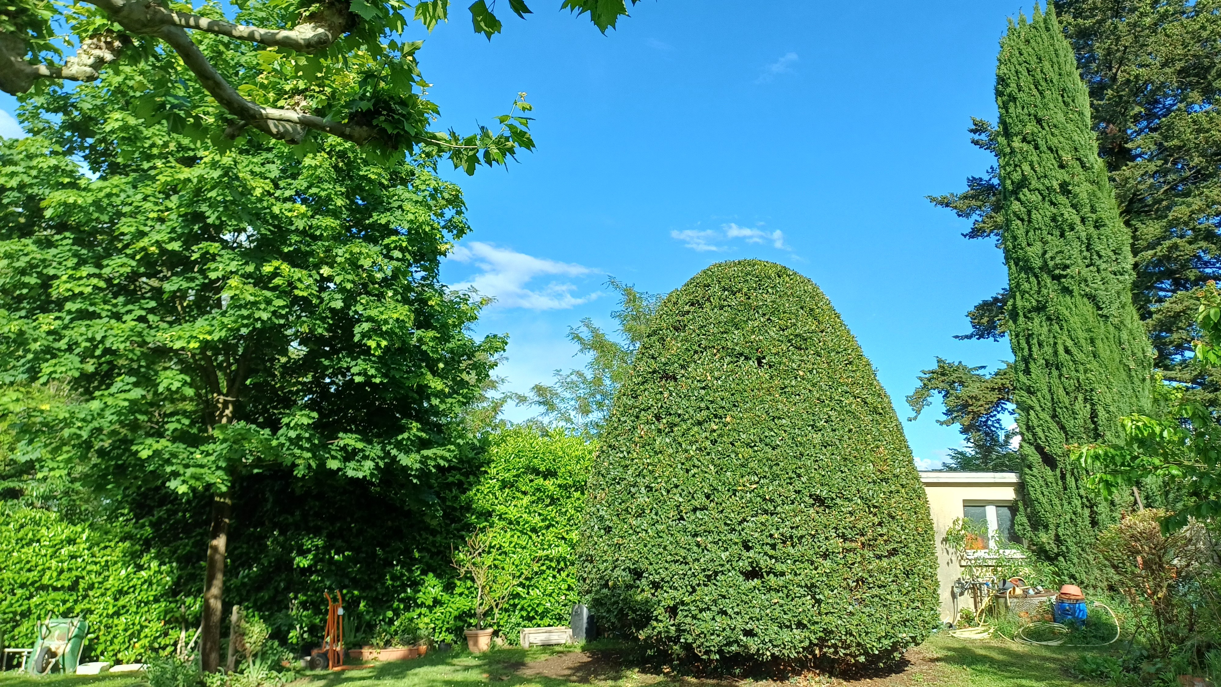 The leafy surroundings