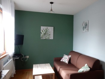 Salon chalet 4 personnes (avec canapé convertible)