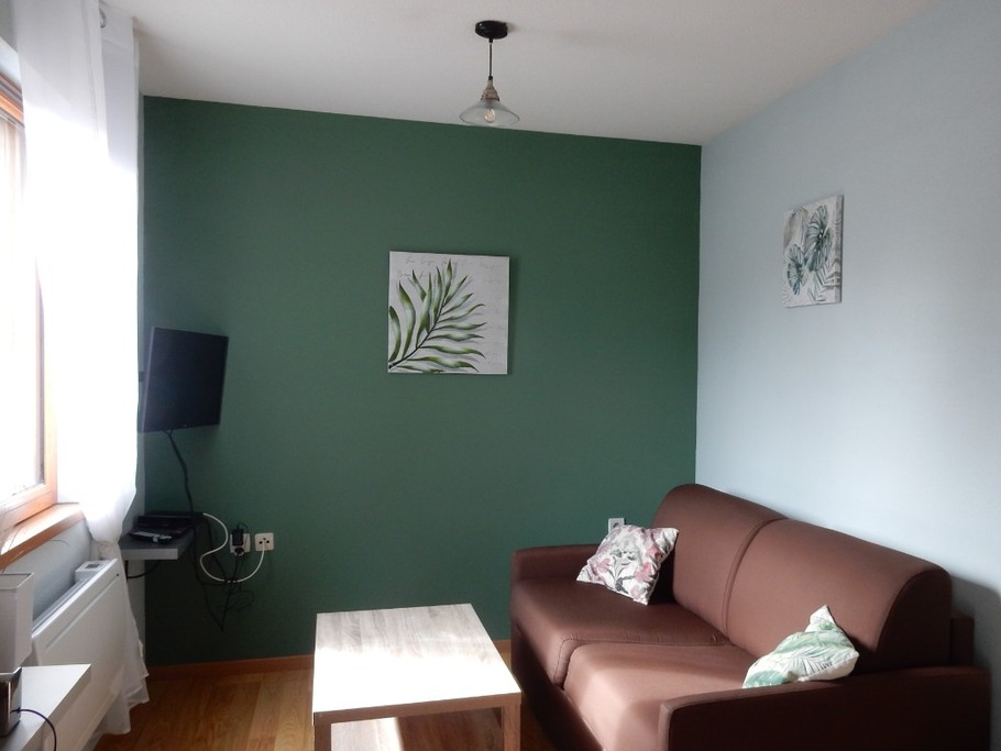 Salon chalet 4 personnes (avec canapé convertible)