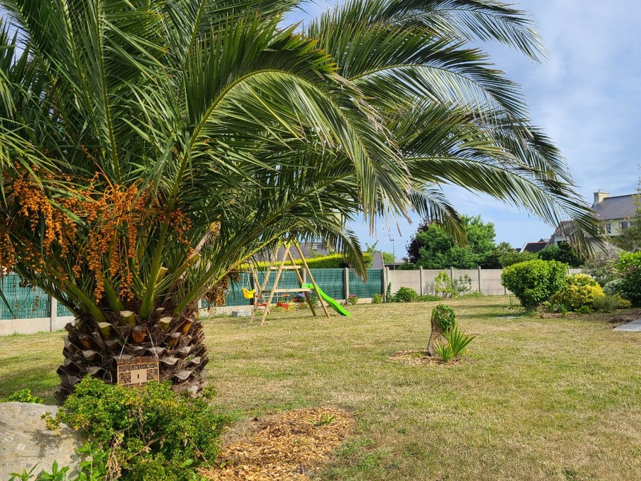 jardin avec portique enfant, balançoire et tobbogan