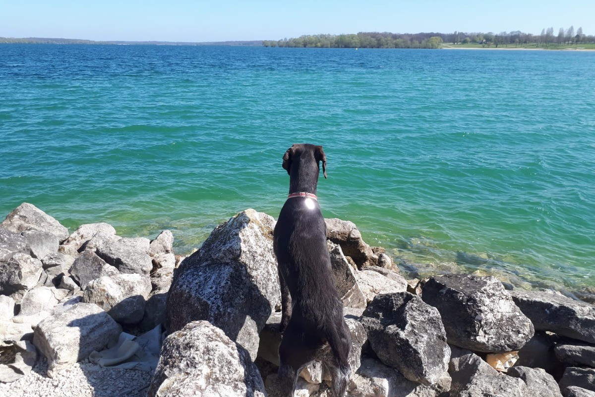 lac de la Forêt d 'Orient