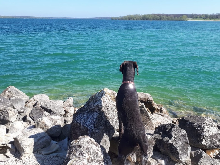lac de la Forêt d 'Orient