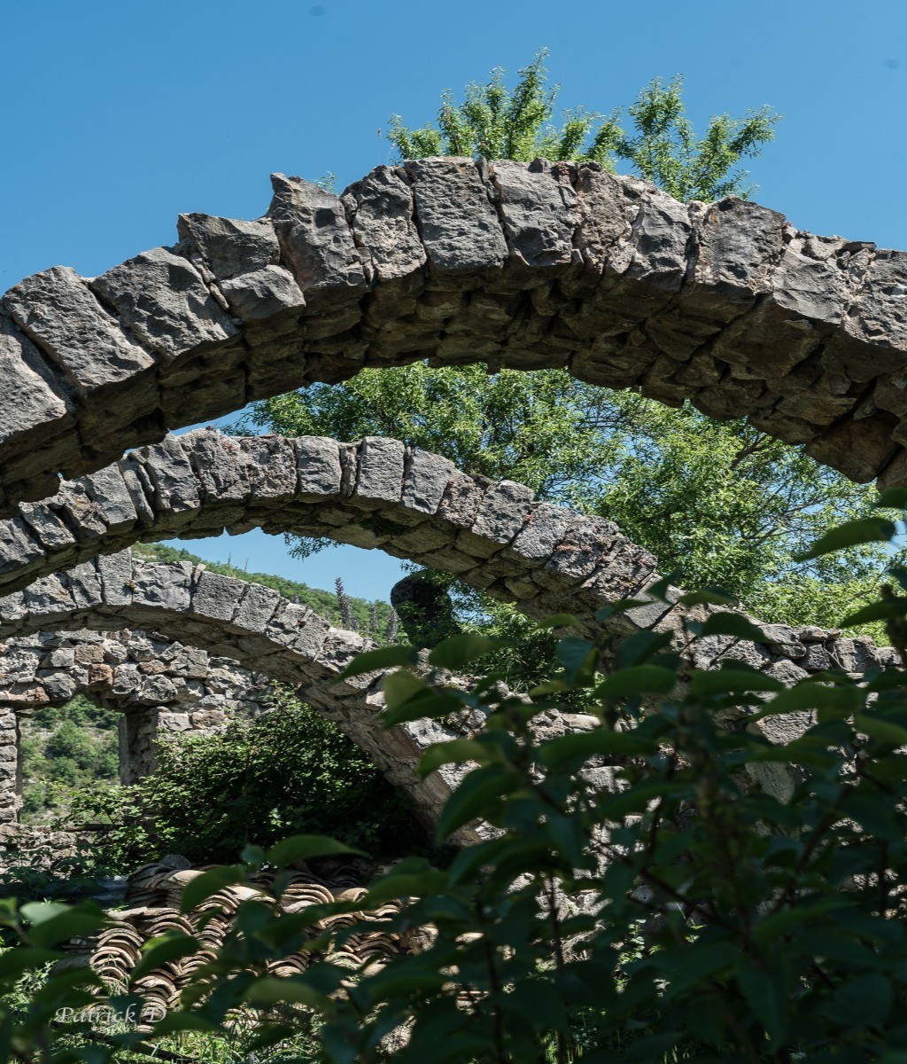 Arceaux oubliés d'un abri