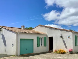 Coquelicot vu de la rue