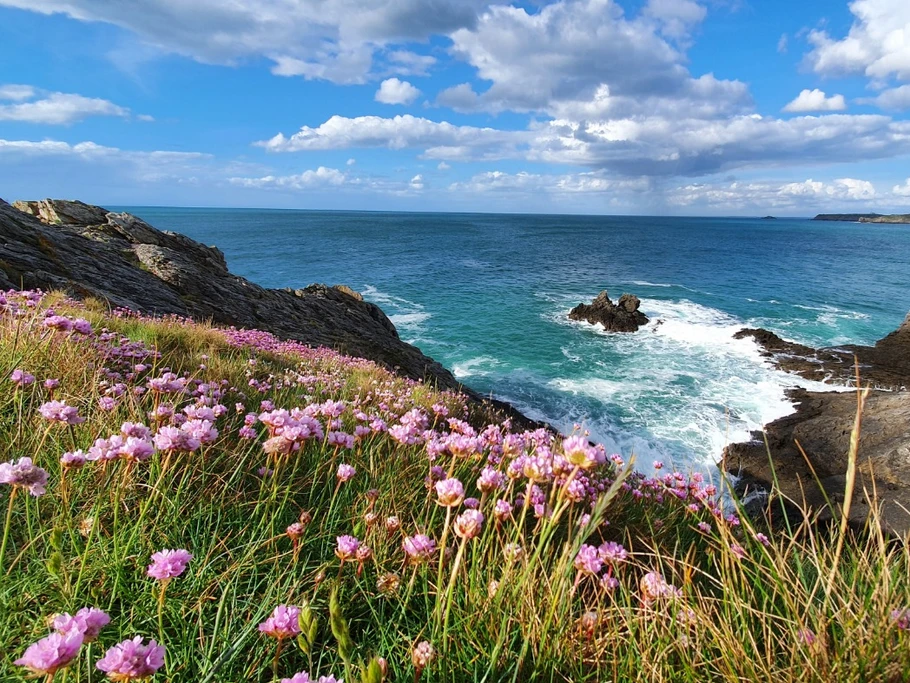 Vue depuis le GR 34 à Cancale