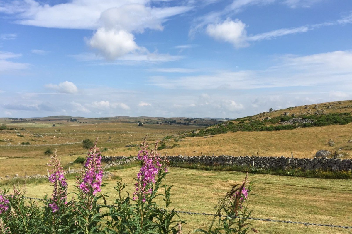 LE GRAND GITE PAYSAGES AUBRAC