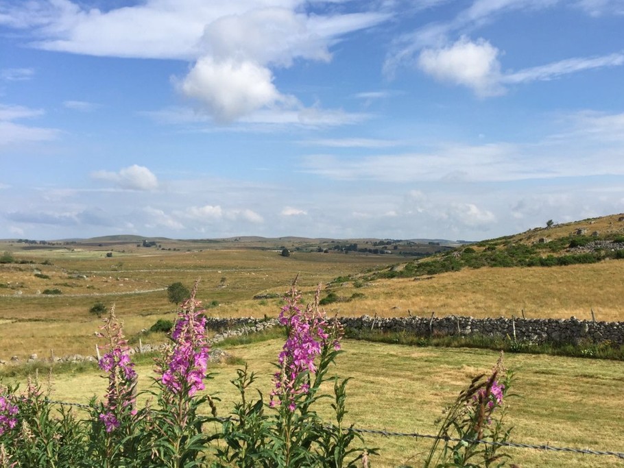 LE GRAND GITE PAYSAGES AUBRAC