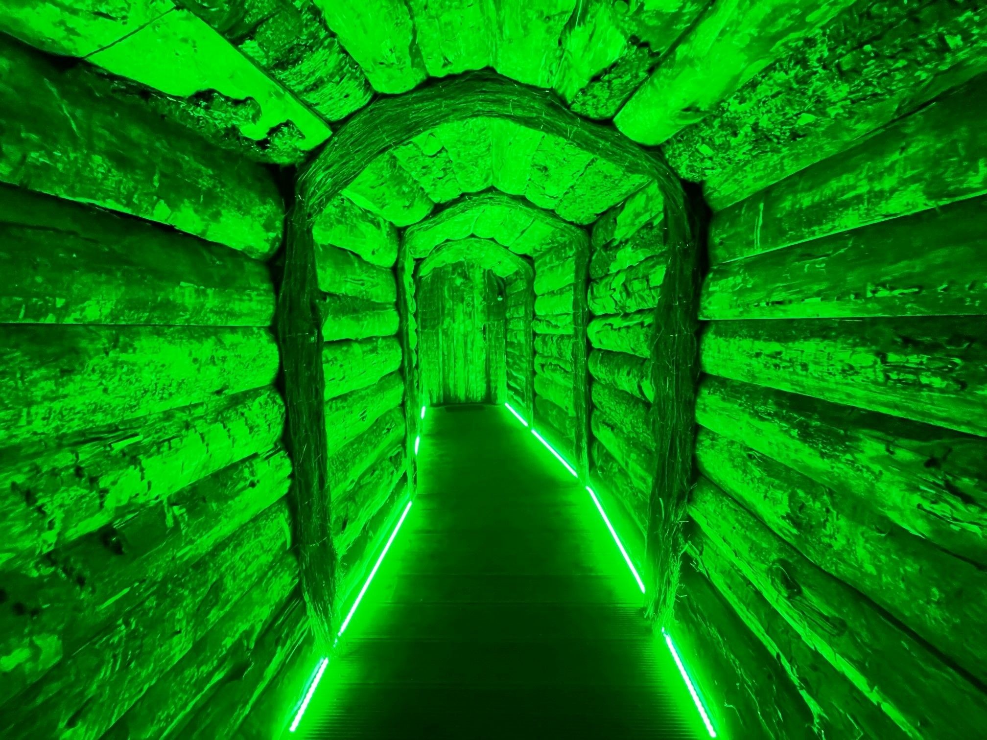 Maison des Farfadets pour 8 personnes, Défi Planet', à Dienné, Vienne