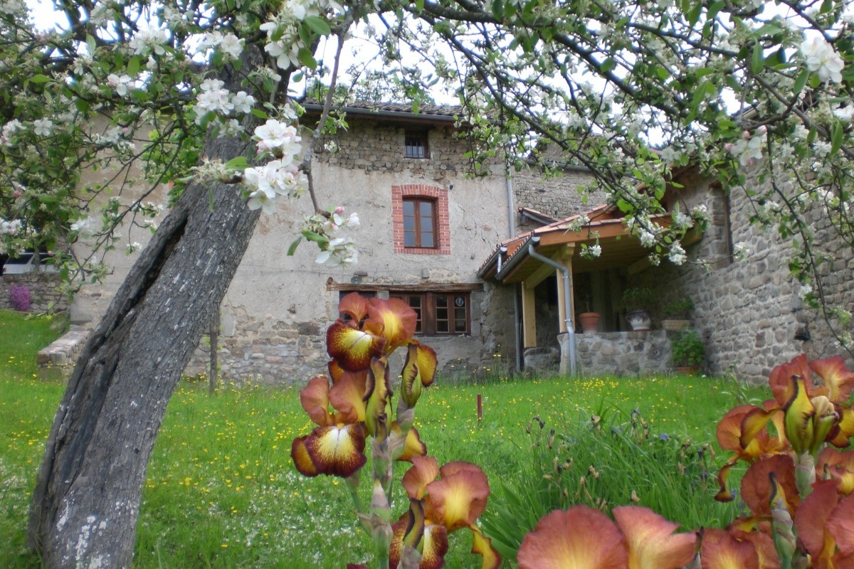 Le gîte au printemps