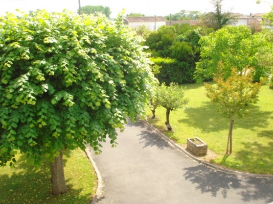 Vue (de l'étage) sur le jardin