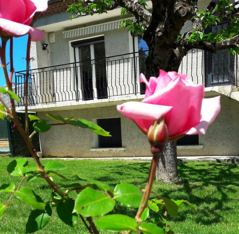 La saison des roses