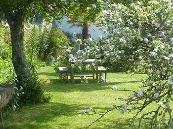 shared enclosed garden