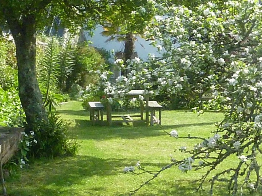 shared enclosed garden
