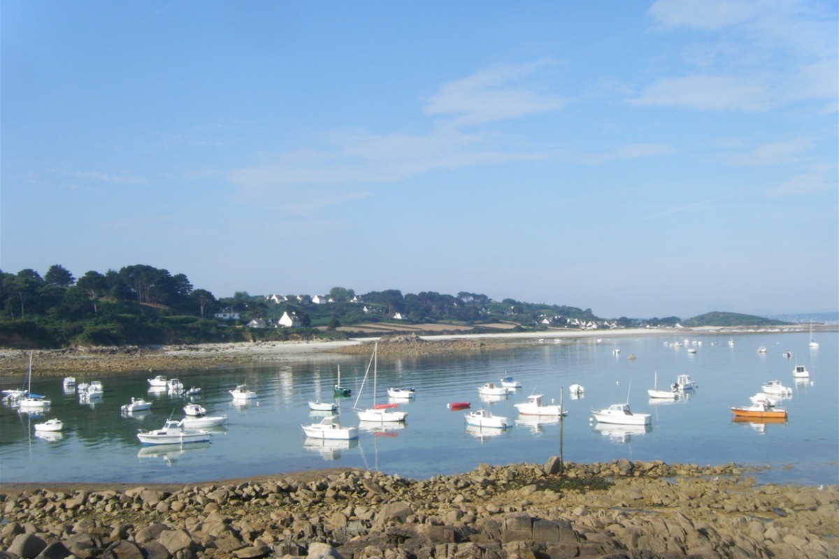 Petit Port