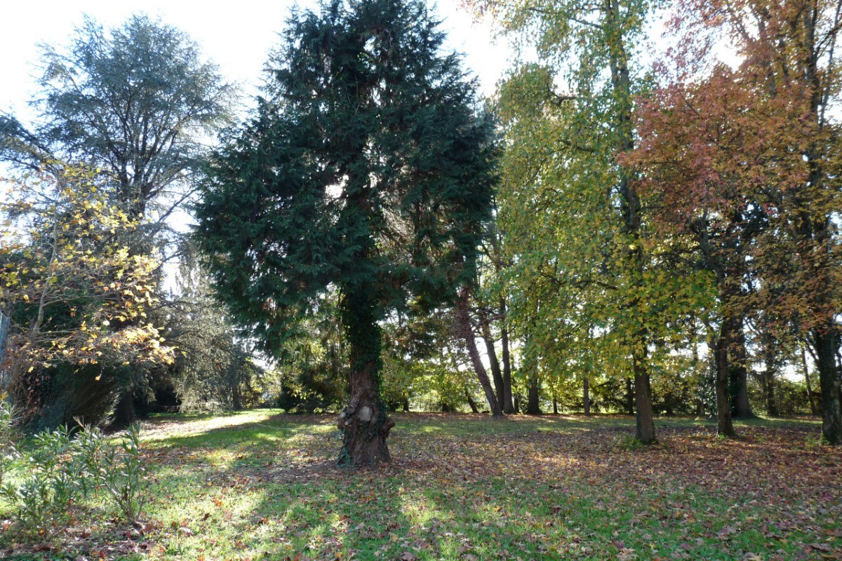 le parc