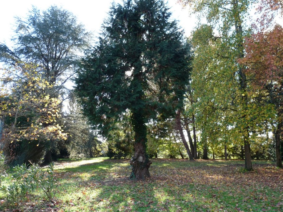 le parc