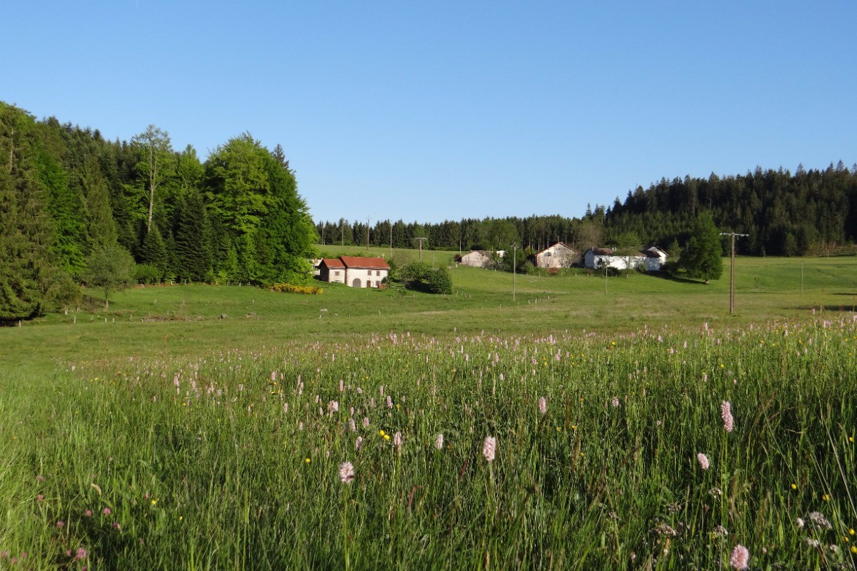 vue depuis la terrasse - Vosges
