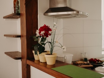 Photo n° 5 de la location
