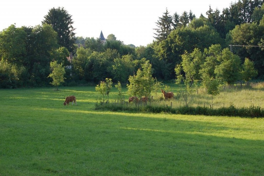 Vue depuis le logement