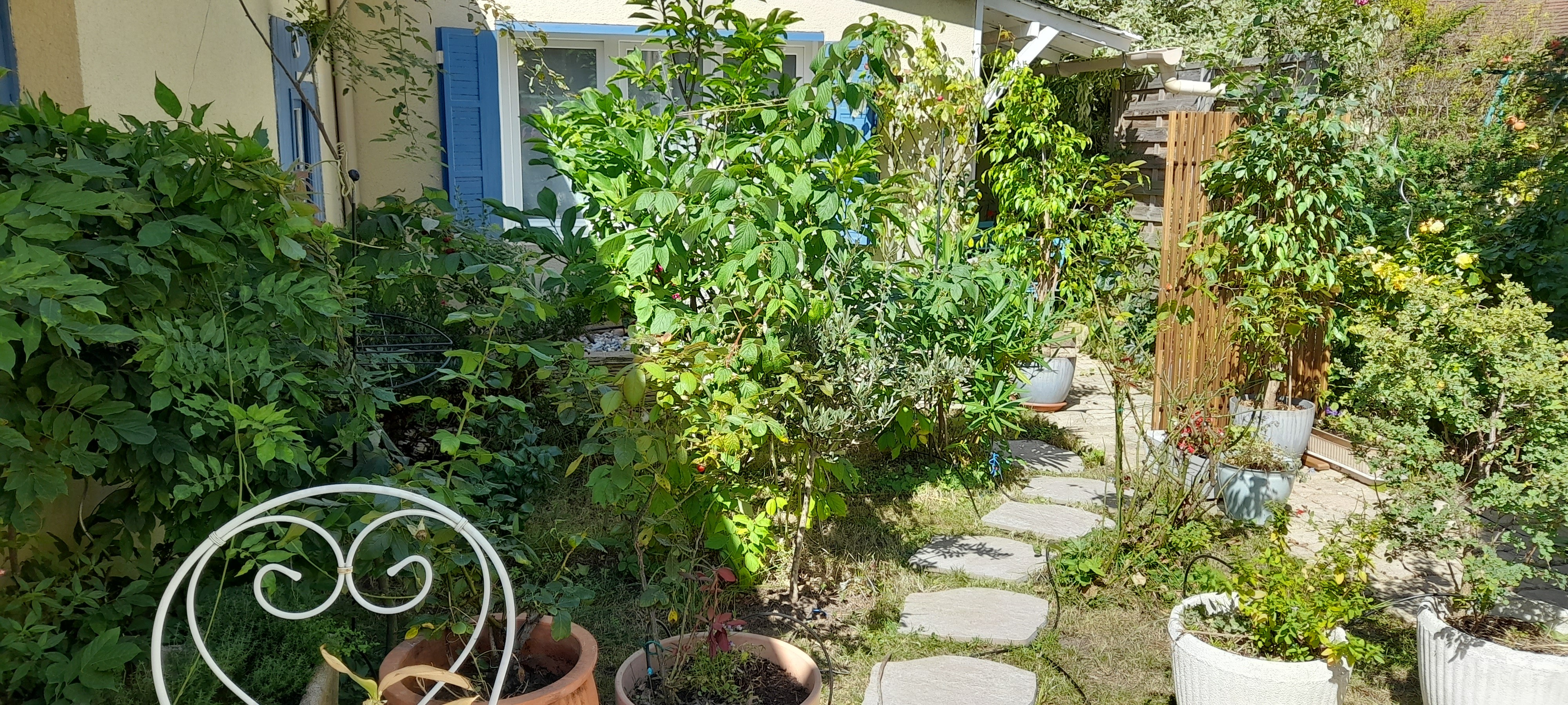 Photo n° 1 de la location