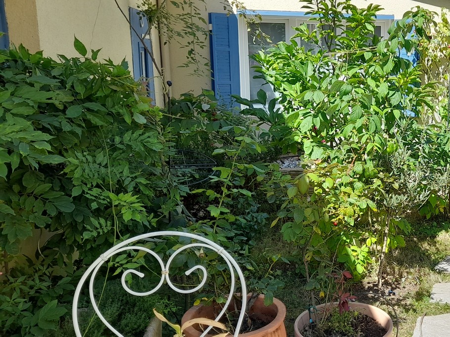 Photo n° 1 of the location