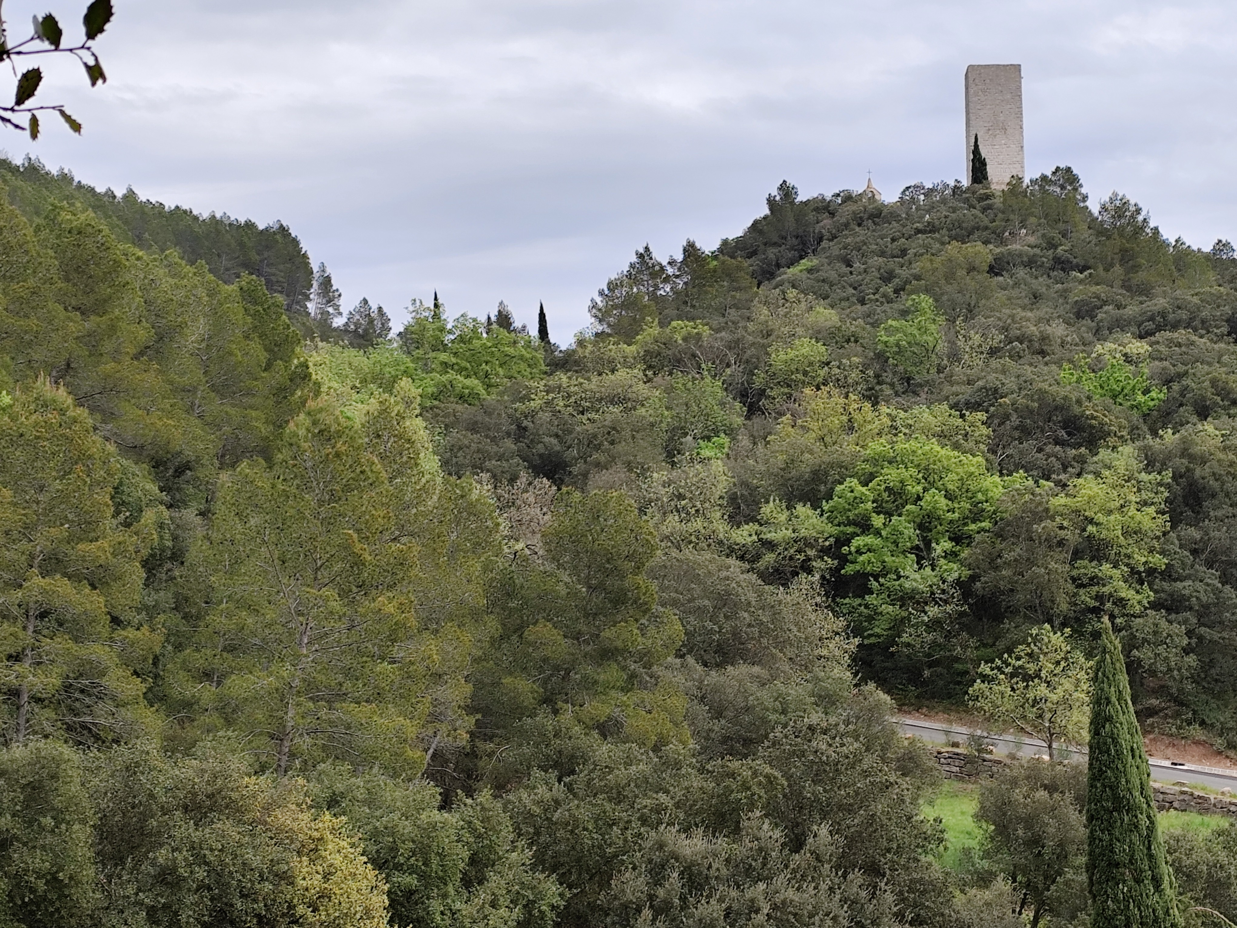 Photo n° 6 de la location