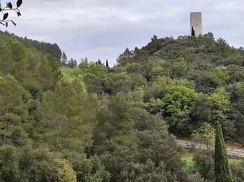 Photo n° 6 de la location