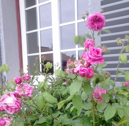 un été au gîte des biches