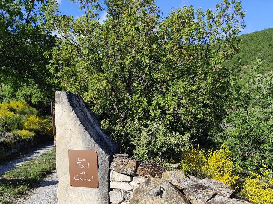Photo n° 3 de la location