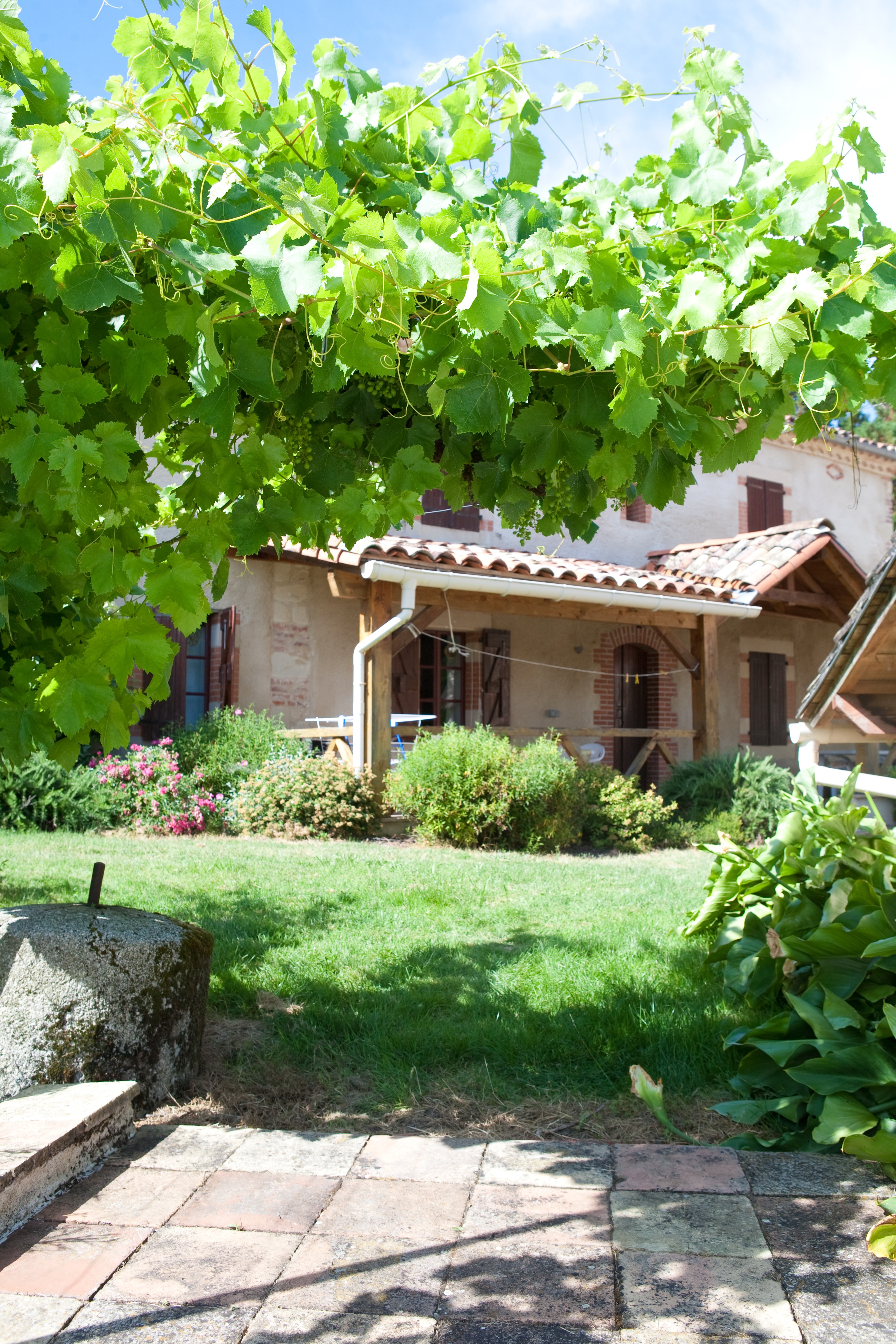 lou campestre