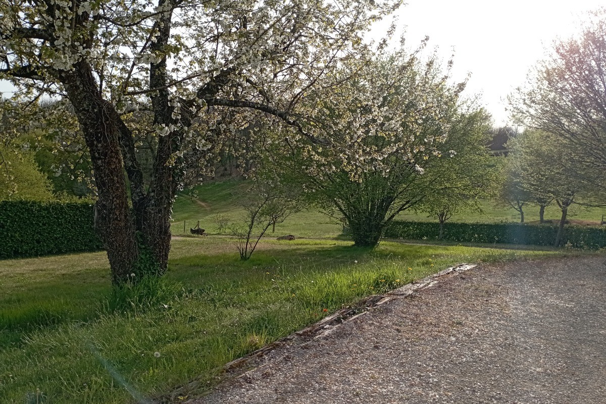Photo n° 7 of the location