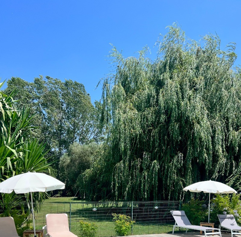 Piscine: 13 X 5.50m