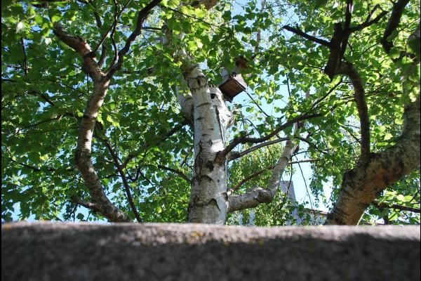 Nous aimons la nature