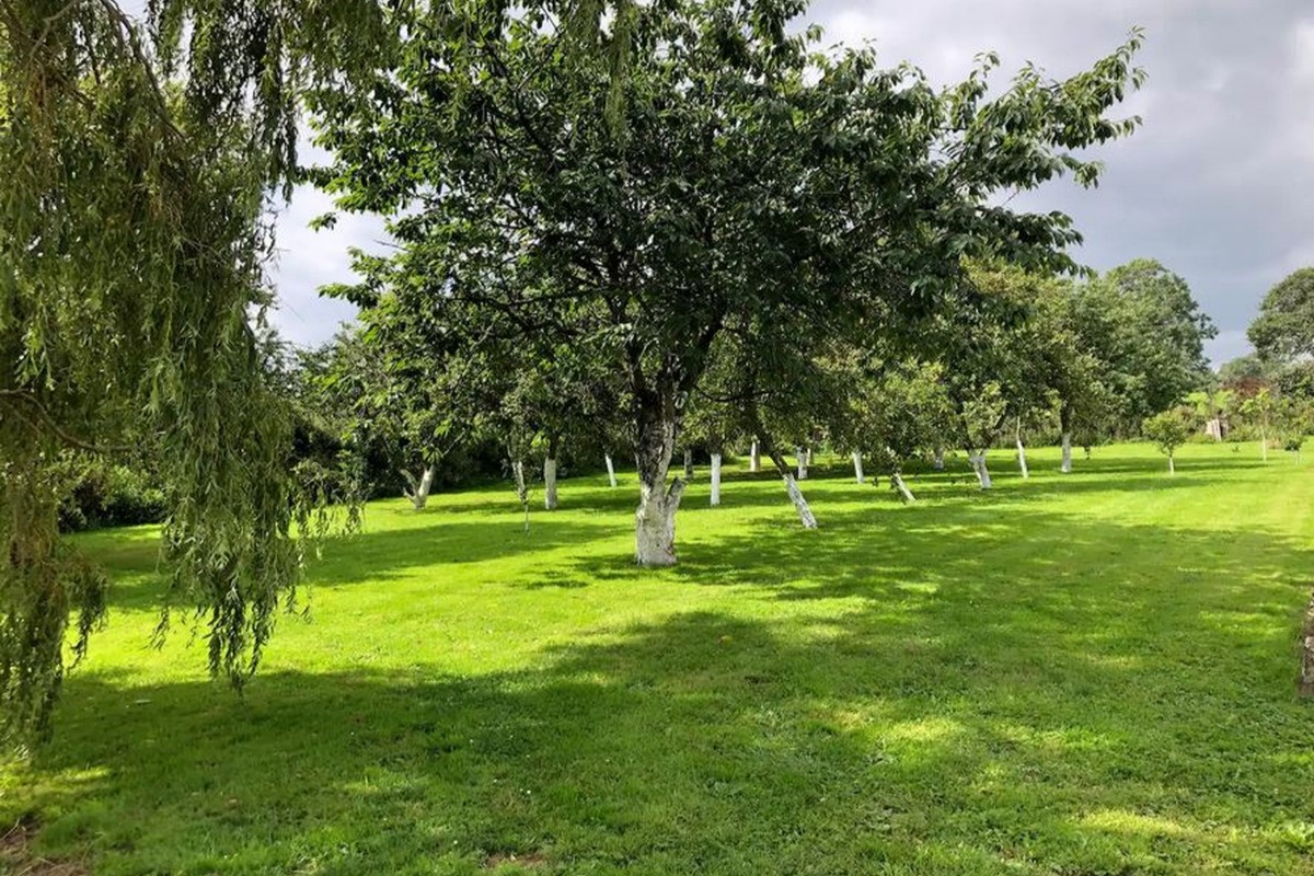 Photo n° 11 de la location