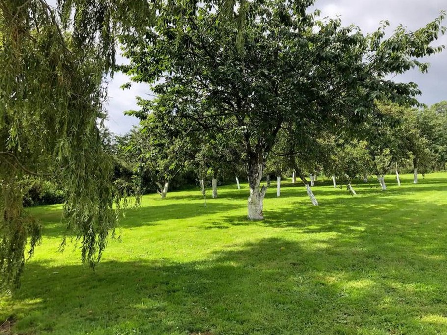 Photo n° 11 of the location