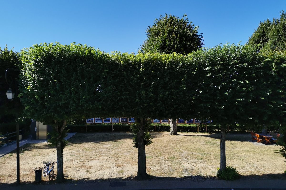 Photo n° 9 de la location