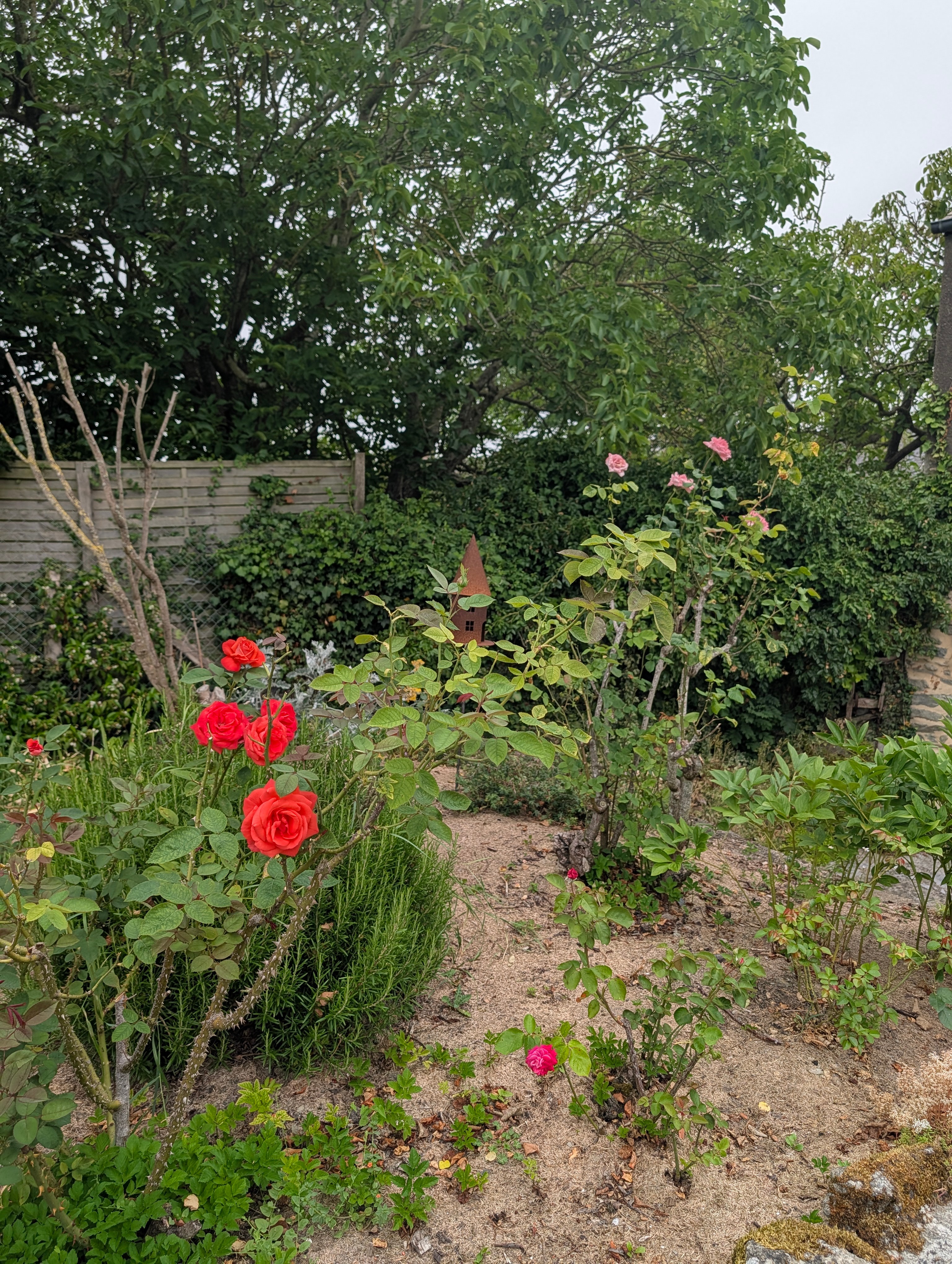 Photo n° 13 of the location