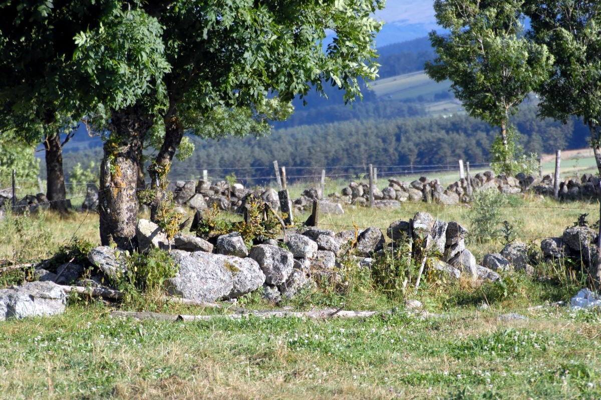 Photo n° 17 of the location