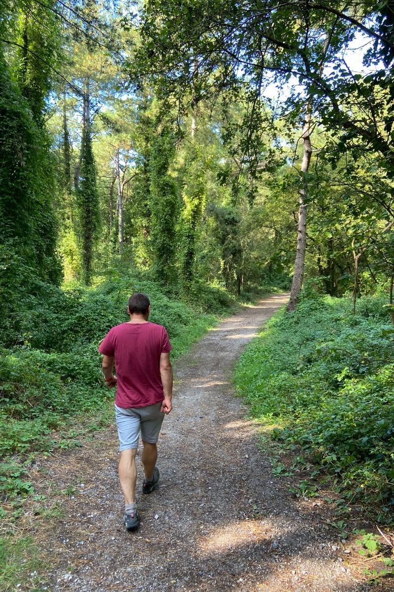 Bois de Brighton - Celine Florek - Somme Tourisme