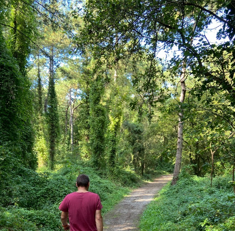 Bois de Brighton - Celine Florek - Somme Tourisme