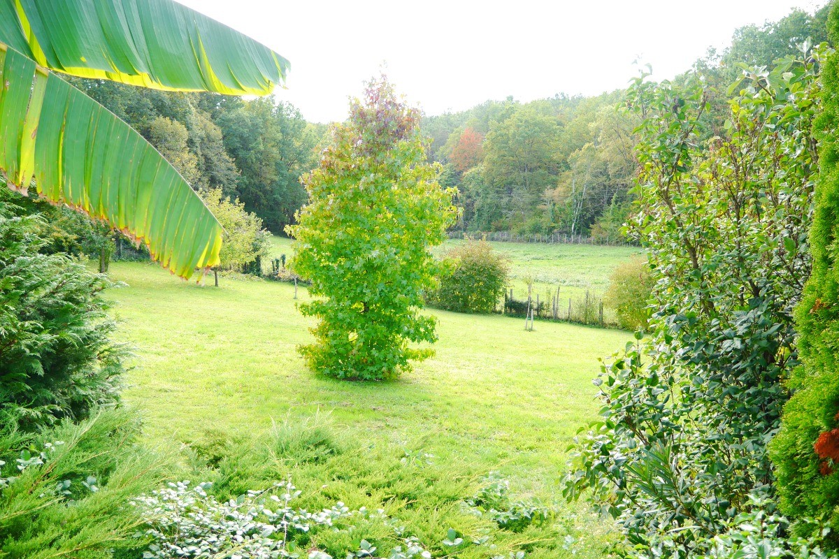 vue sur parc