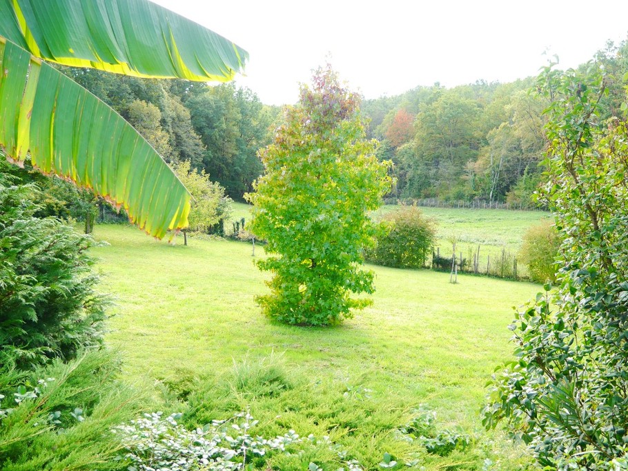 vue sur parc
