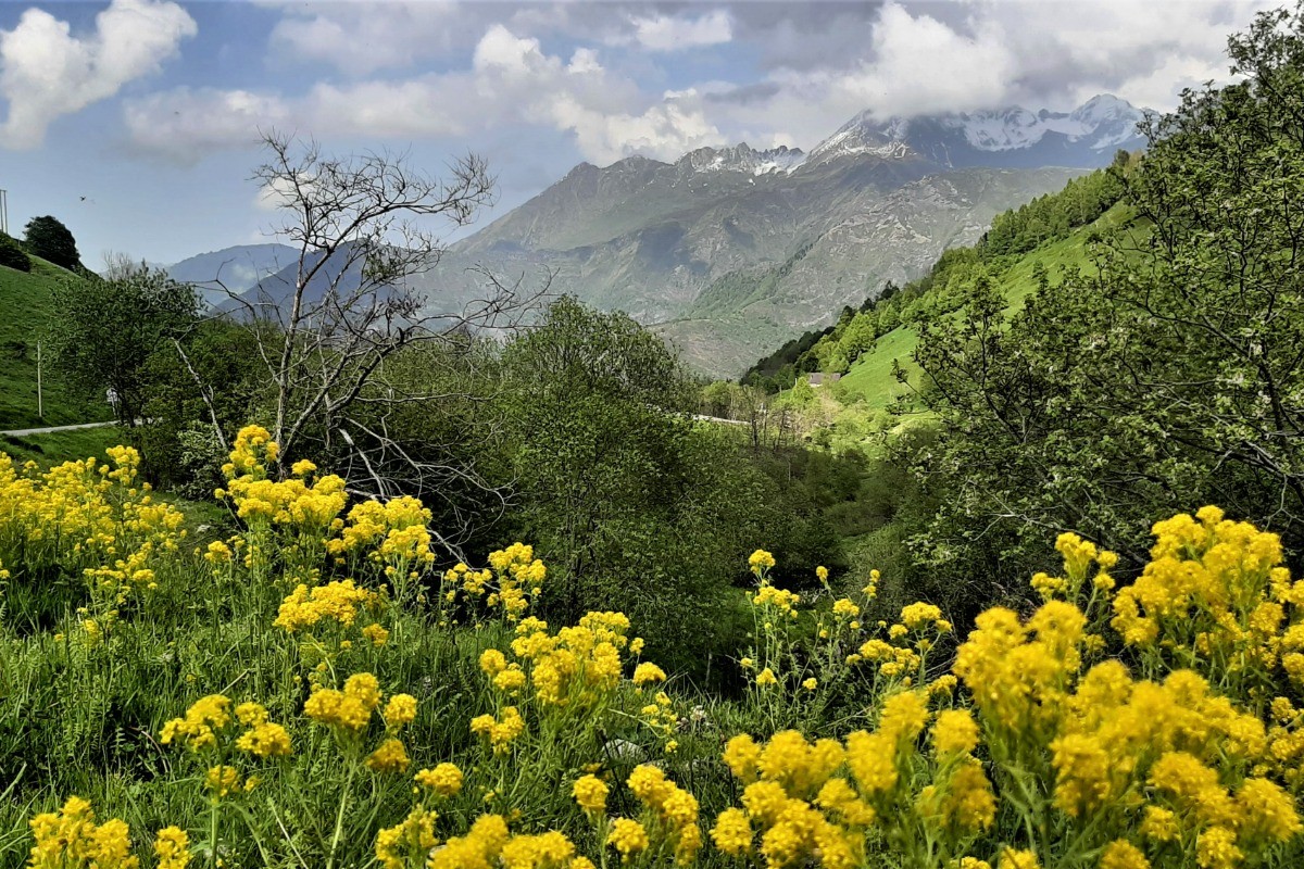Vallée Ardiden