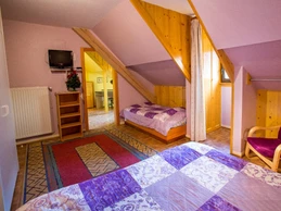 Image n° 4 de la location